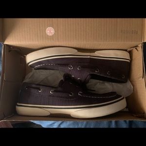 Sperry boat shoe